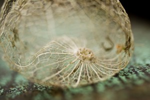 5255836915_4c4793ee2d_b