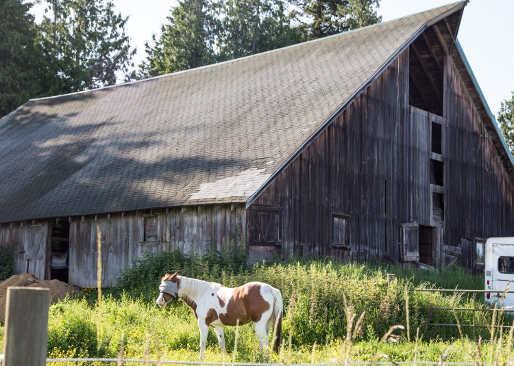 O.J. Rucker Barn by Jessamyn Tuttle (2)
